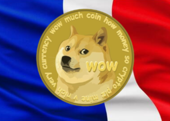 Dogecoin en France